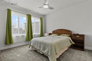 10067 Vervain View