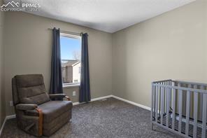 4541 Anvil Drive
