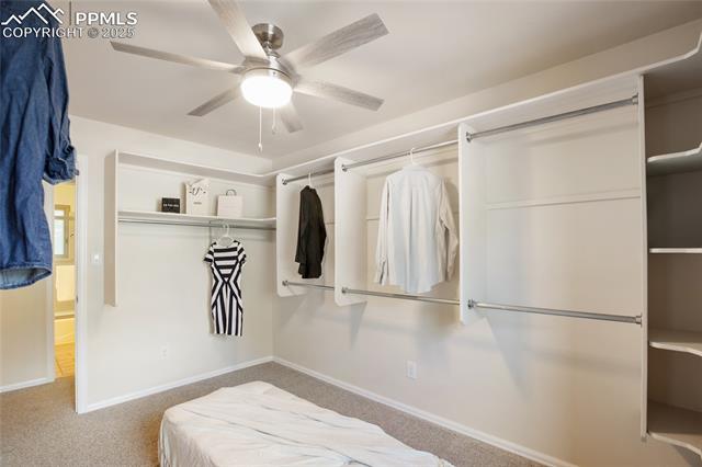 3004 W Springlake Circle