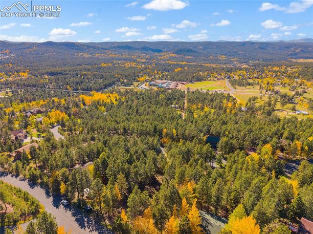 1320 Forest Edge Road