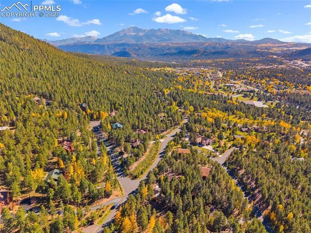 1320 Forest Edge Road