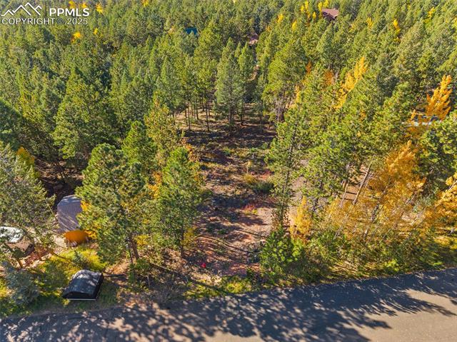 1320 Forest Edge Road