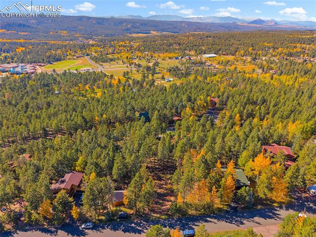 1320 Forest Edge Road