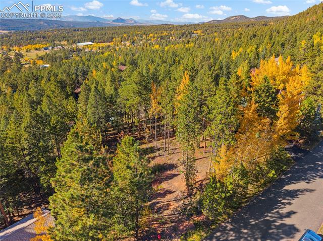 1320 Forest Edge Road