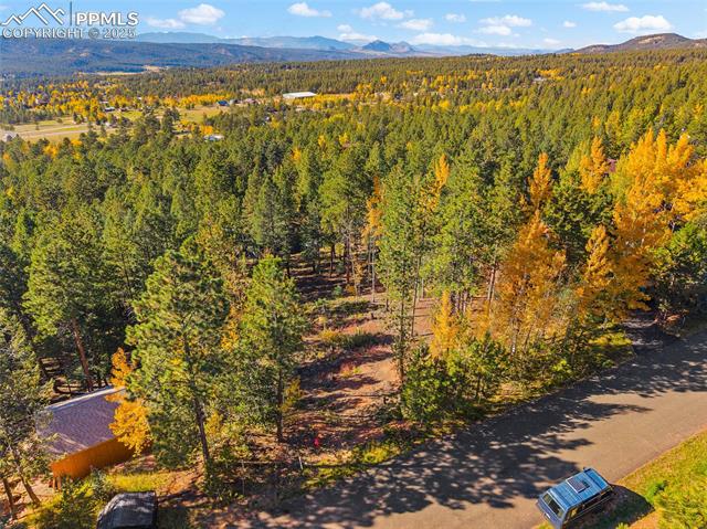 1320 Forest Edge Road