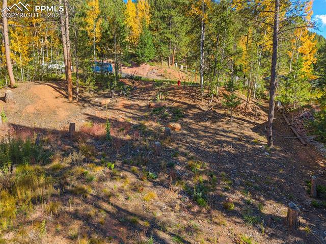 1320 Forest Edge Road