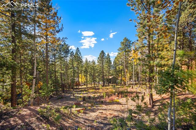 1320 Forest Edge Road