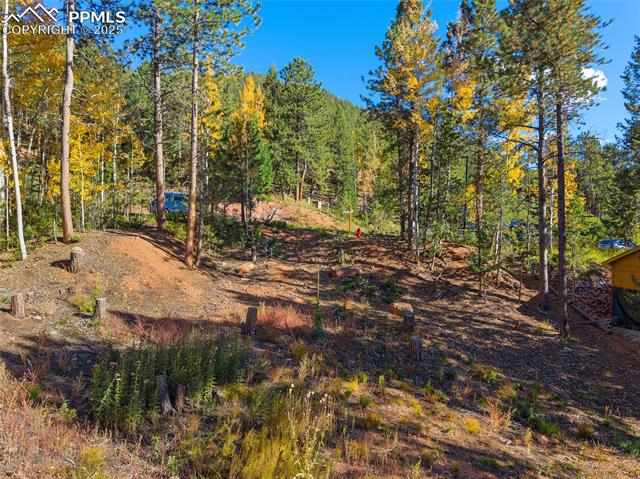 1320 Forest Edge Road