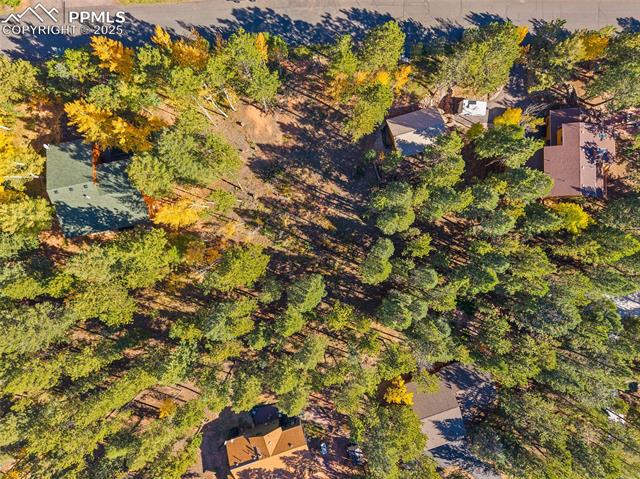 1320 Forest Edge Road