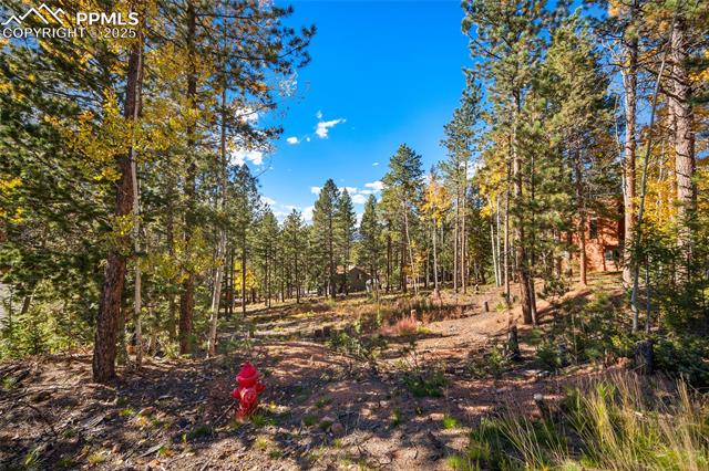 1320 Forest Edge Road