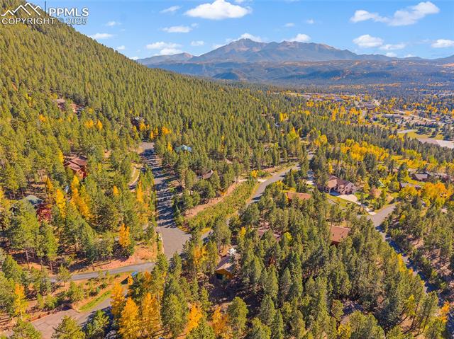 1320 Forest Edge Road