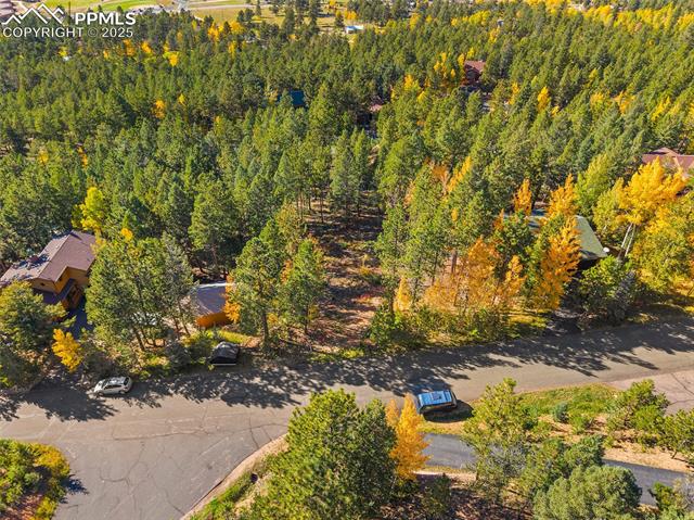 1320 Forest Edge Road