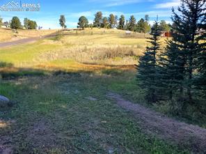309 Pinaceae Heights