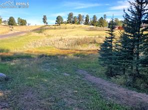 309 Pinaceae Heights