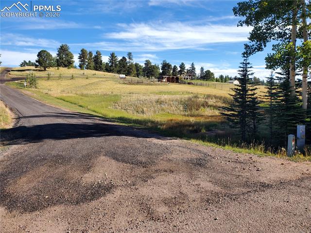 309 Pinaceae Heights