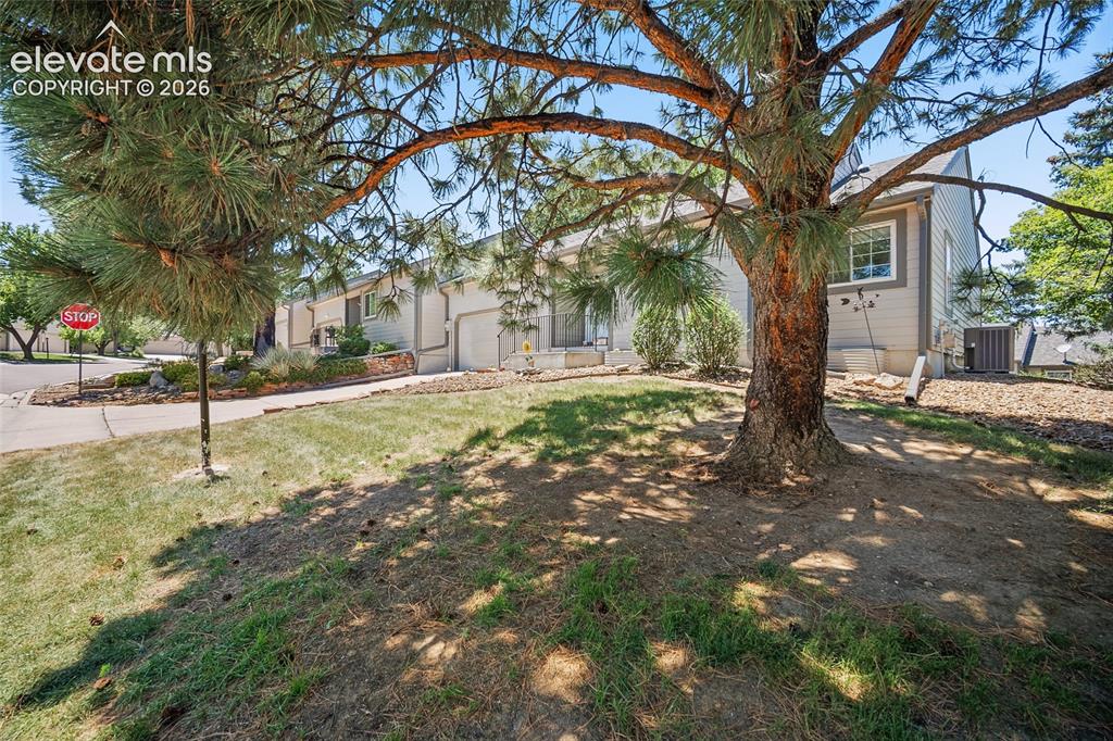 180 Cobblestone Drive
