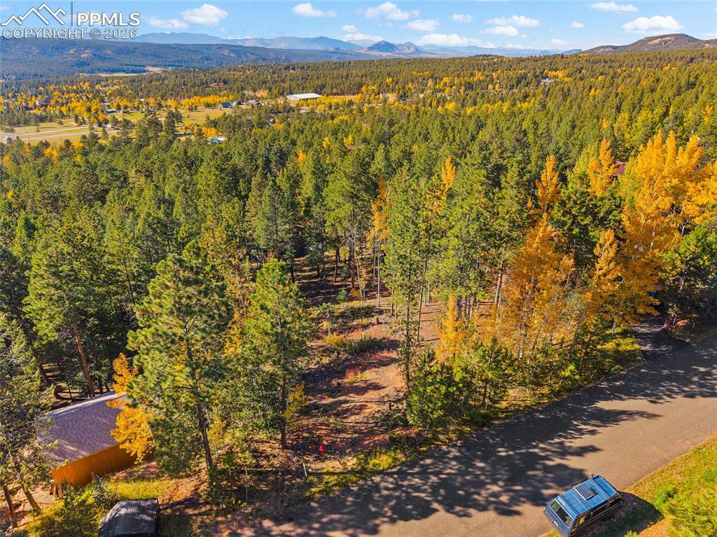 1320 Forest Edge Road