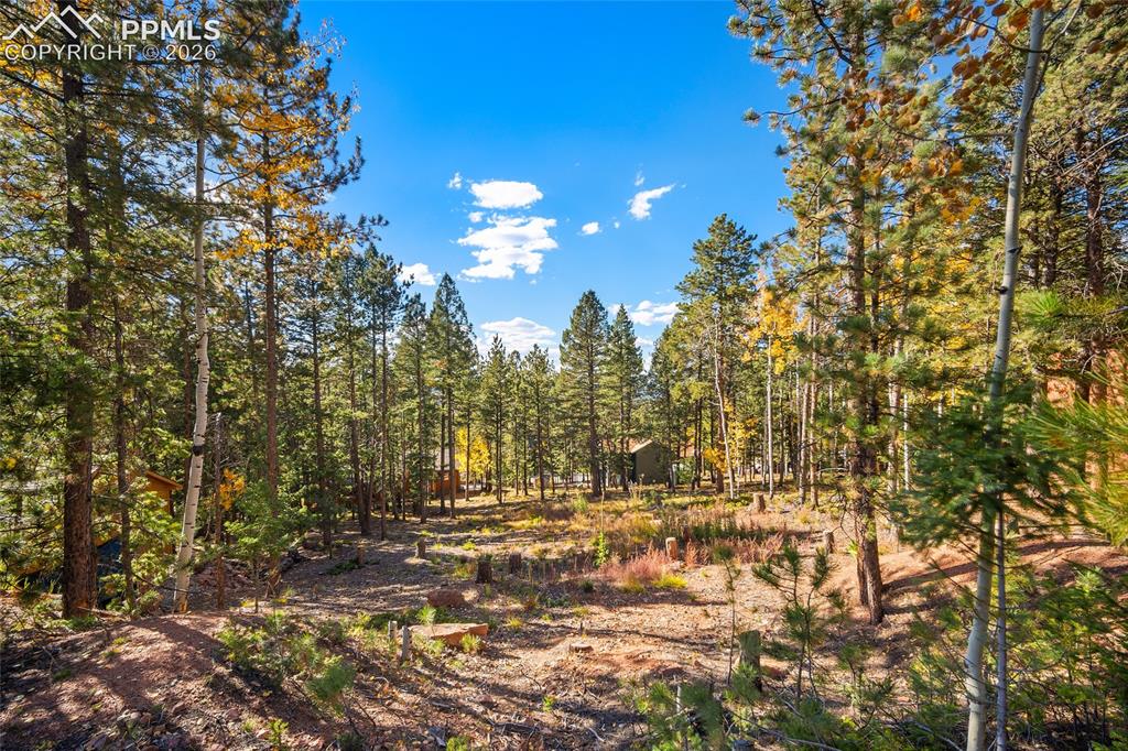 1320 Forest Edge Road
