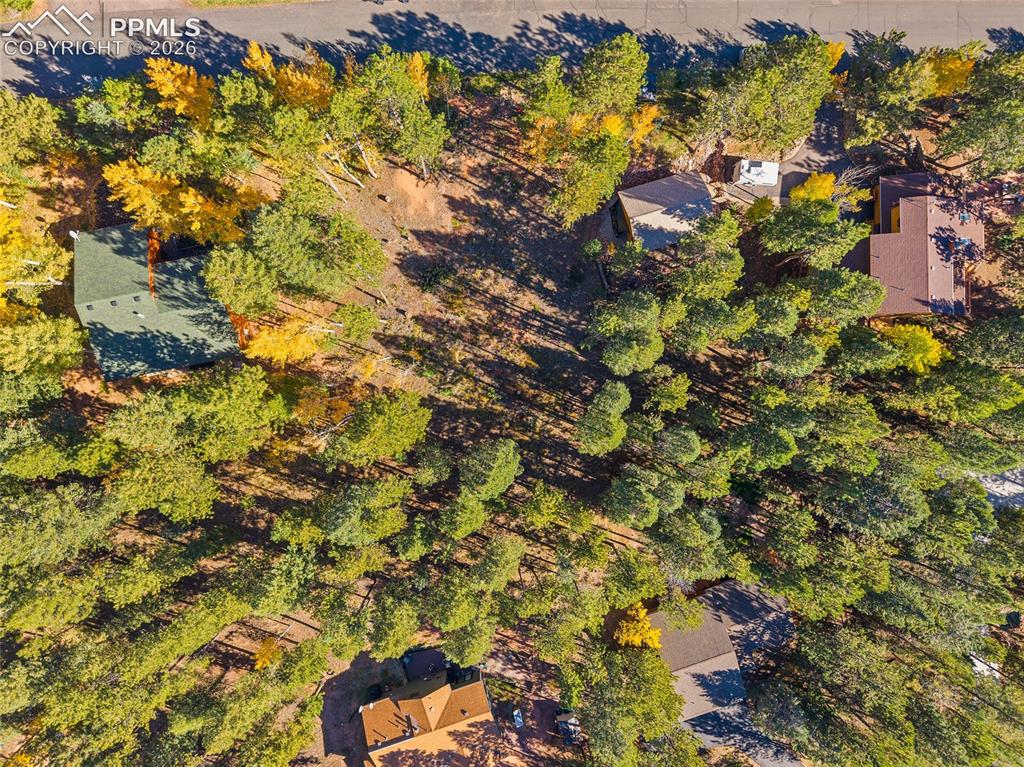 1320 Forest Edge Road