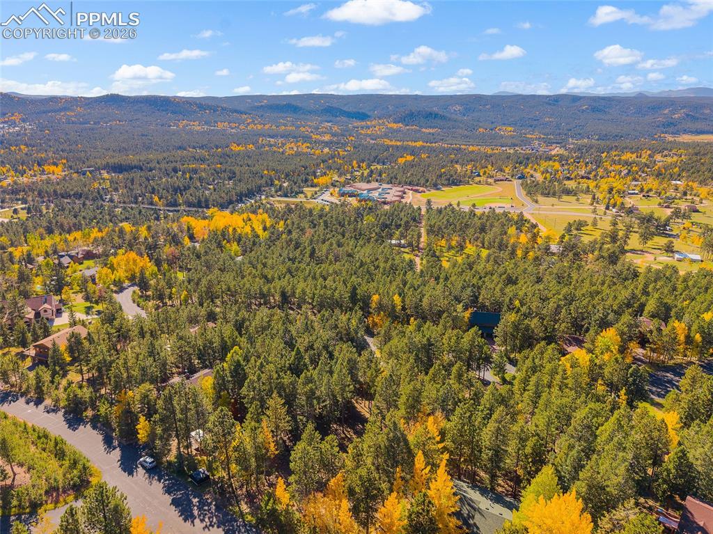 1320 Forest Edge Road