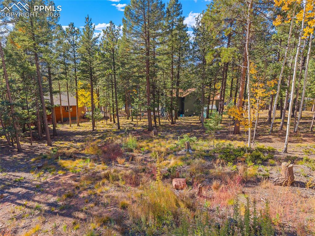 1320 Forest Edge Road