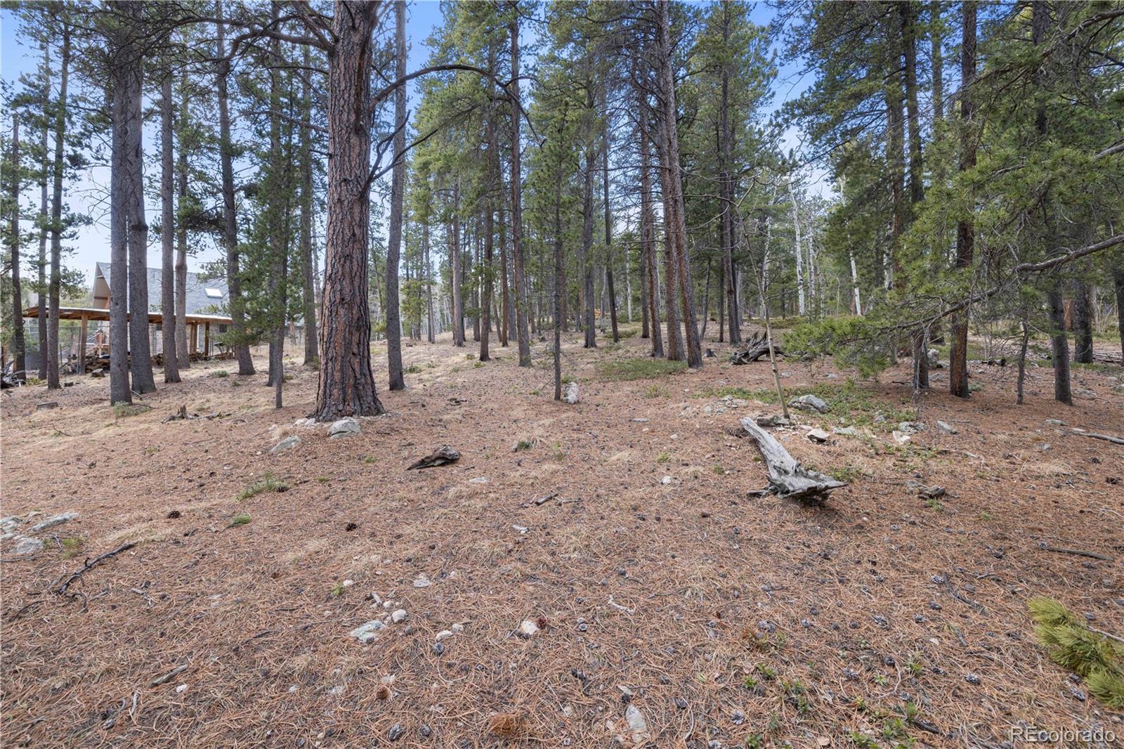 163 N Dory Lakes Drive