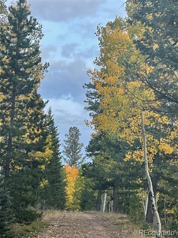 11285 Bear Run Trail