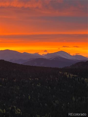 11285 Bear Run Trail