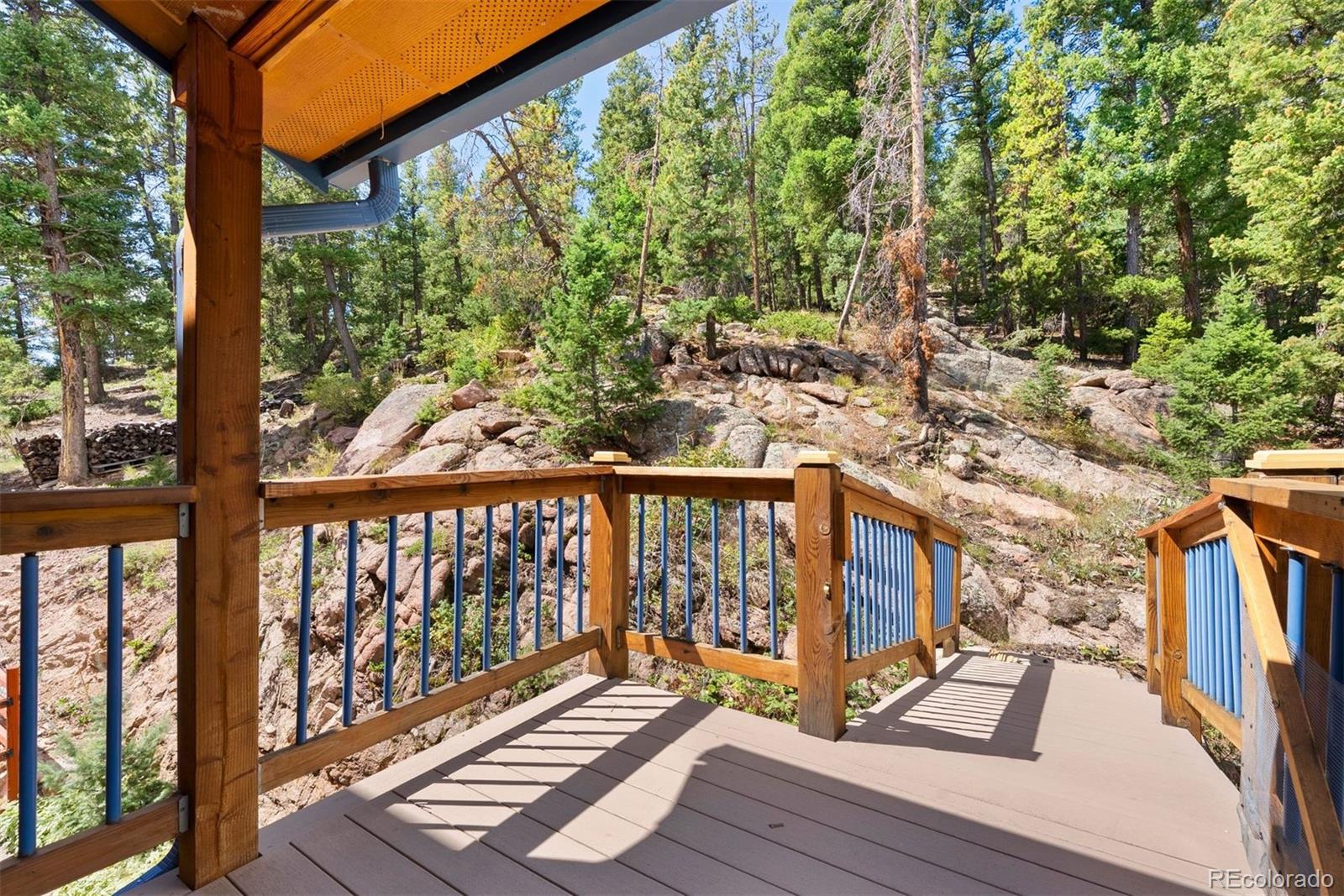 10060 Blue Sky Trail