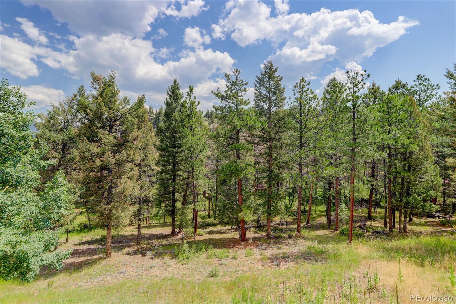 34203 Ponca Road
