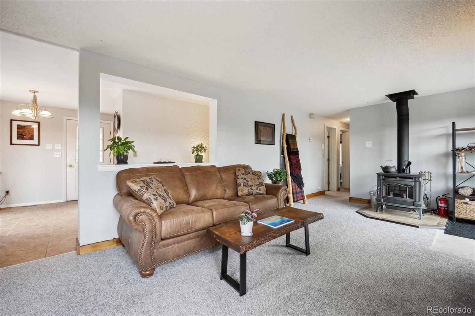 362 Dick Mountain Drive