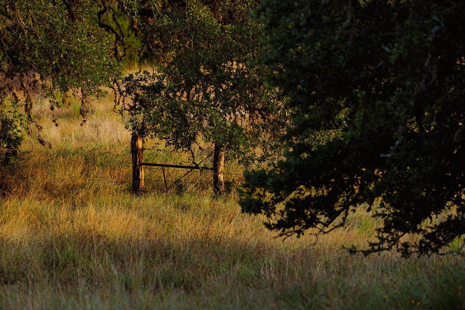 Rural property with a wire gate amid tall grass and mature trees.