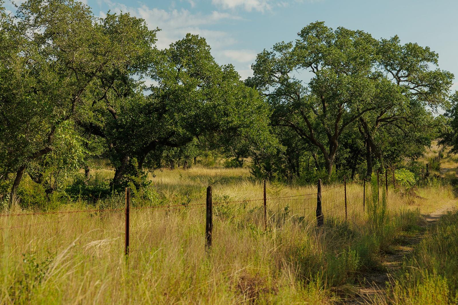 Grassy rural property with mature oak trees, a wire fence, and a narrow dirt track.