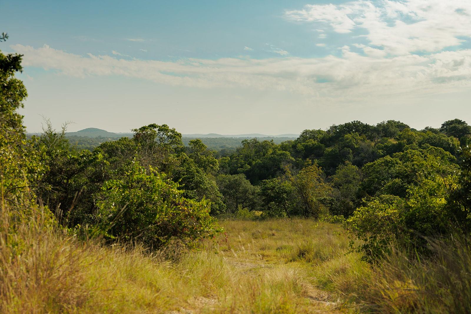 Rolling wooded hills beyond a grassy track, beneath a partly cloudy sky.