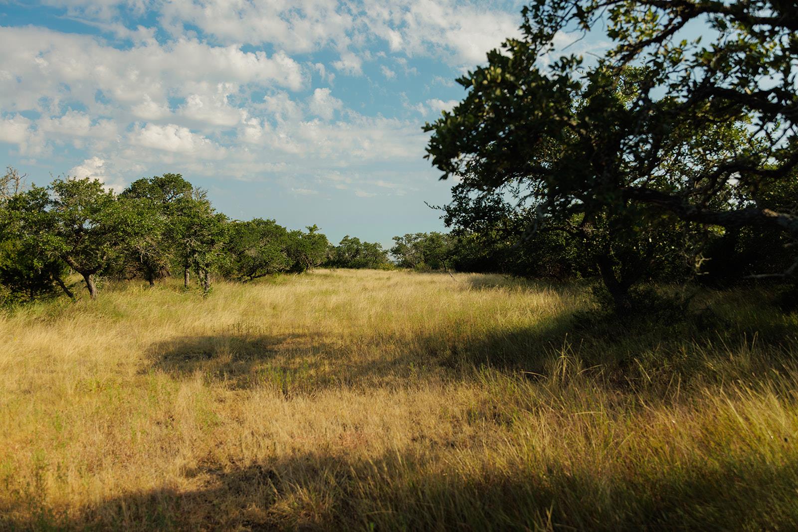 Rural acreage with a grassy clearing, scattered trees, and a partly cloudy sky.