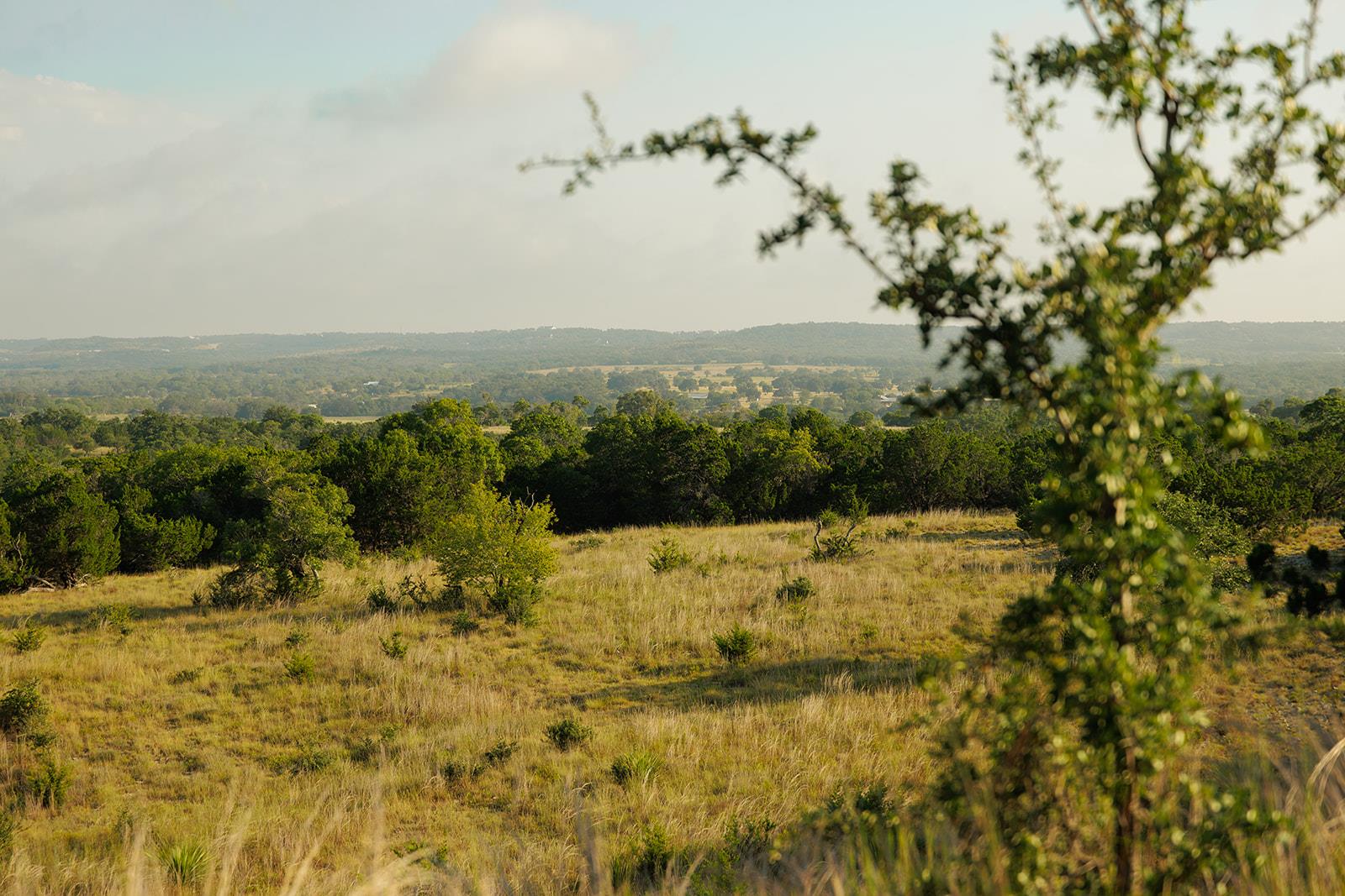 Rolling countryside with golden pasture and tree-covered hills beyond.