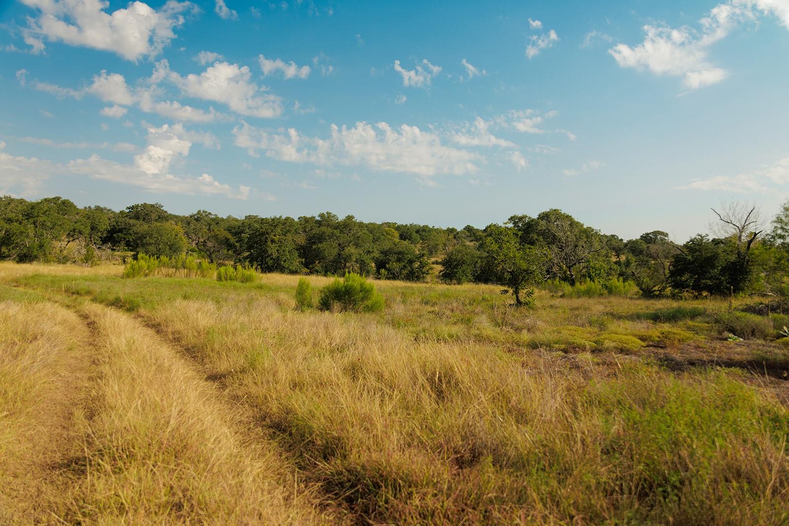 Open grassy land with scattered trees beneath a partly cloudy sky.