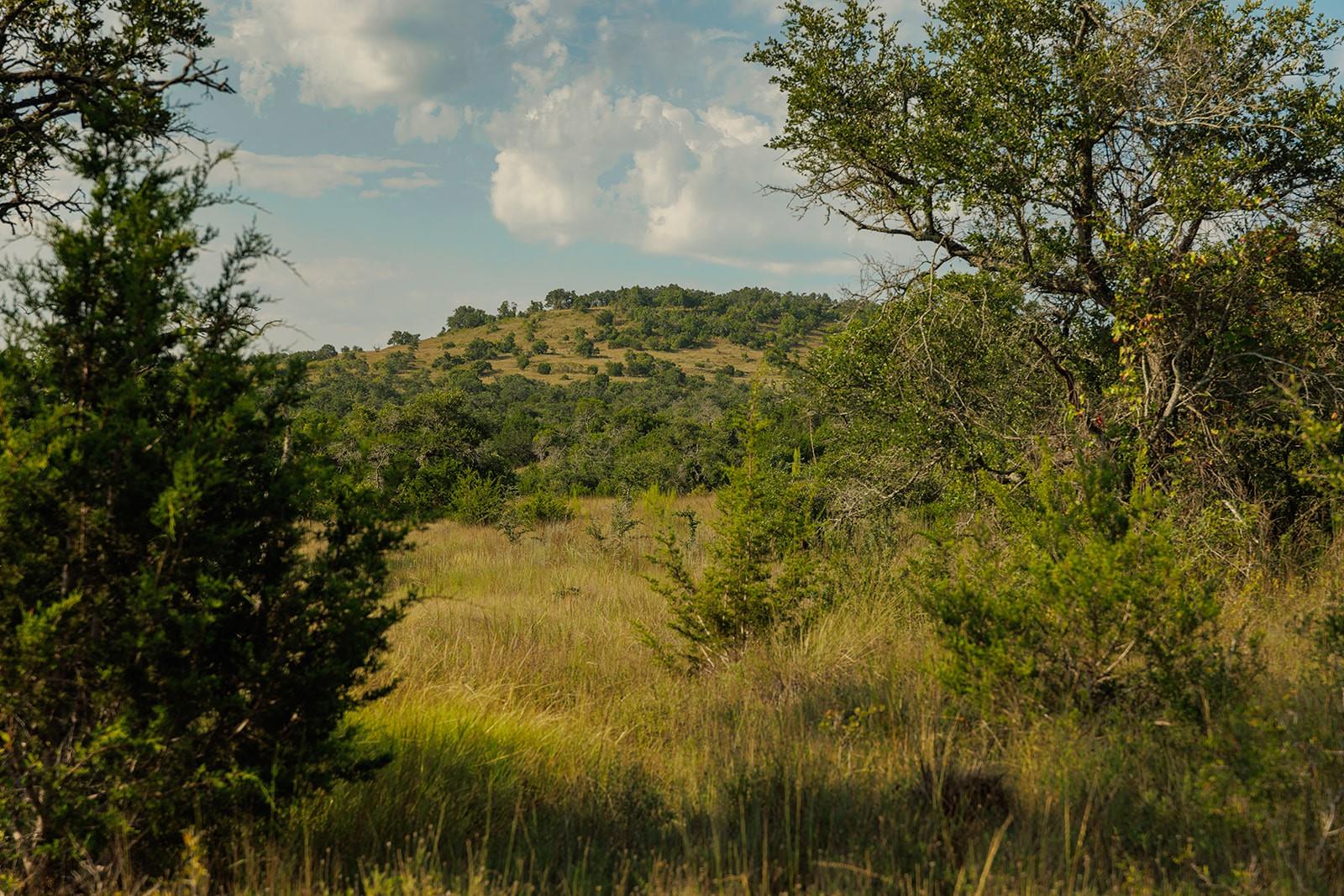 Grassy ranchland and brush open toward a low, tree-covered hill.