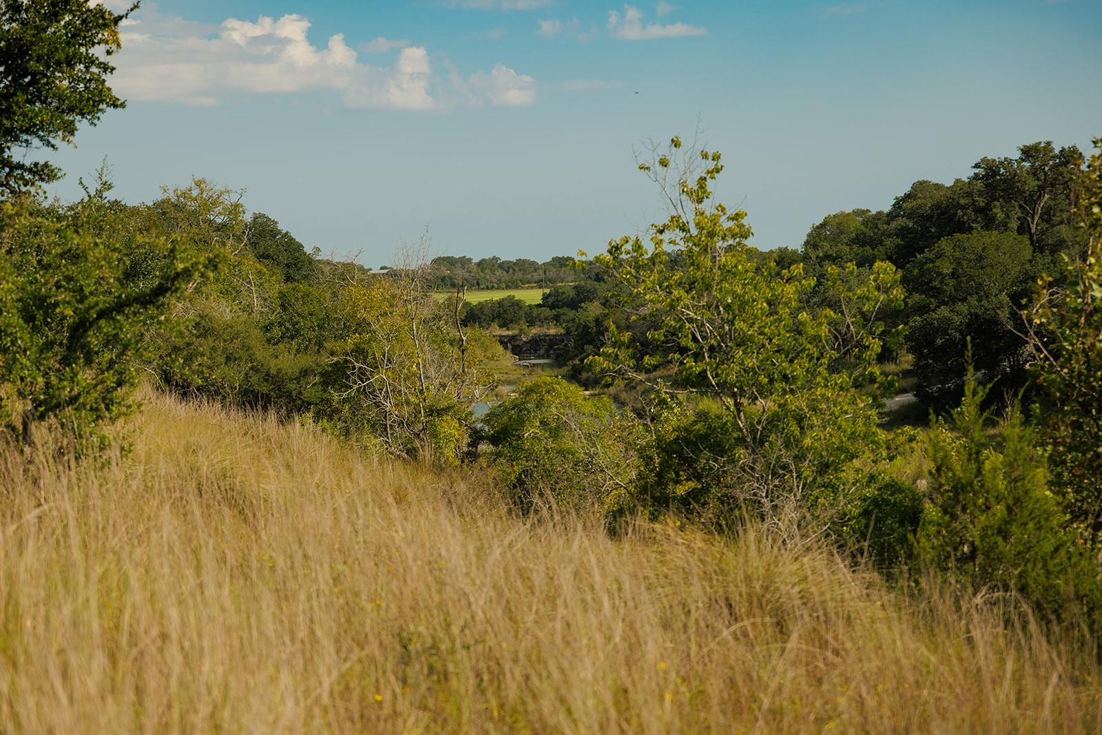 Rural acreage with dry grass, trees, and a glimpse of water.