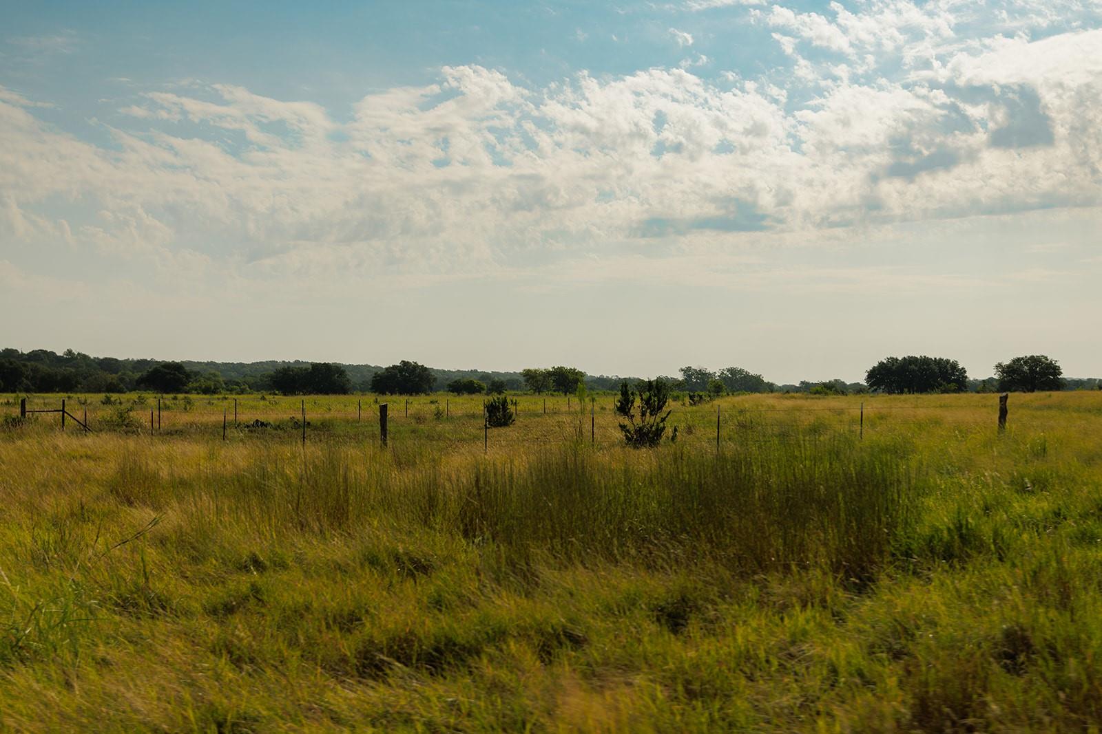 Open grassy acreage behind a wire fence, with scattered shrubs and a distant tree line.