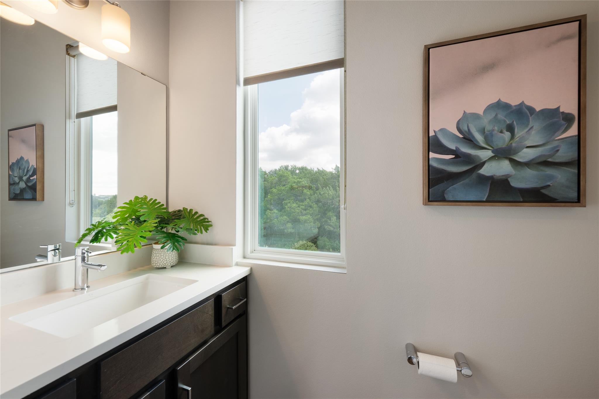 Bathroom vanity with a white sink, dark cabinetry, tall window, and framed succulent artwork.