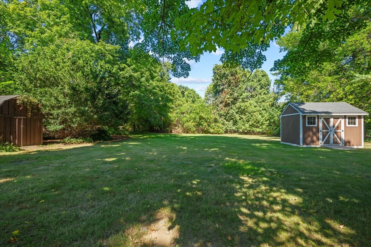 Grassy yard bordered by mature trees, with two wooden sheds.