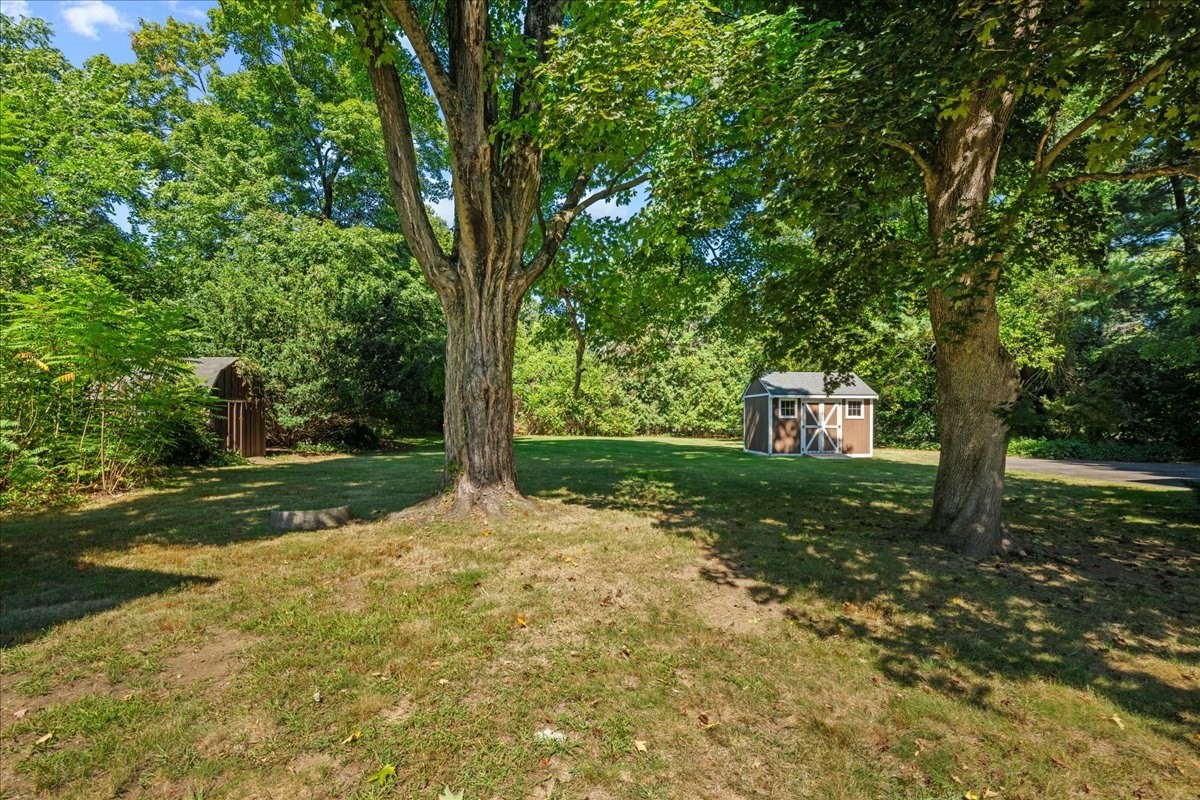 Backyard lawn shaded by mature trees, with two storage sheds near the wooded edge.