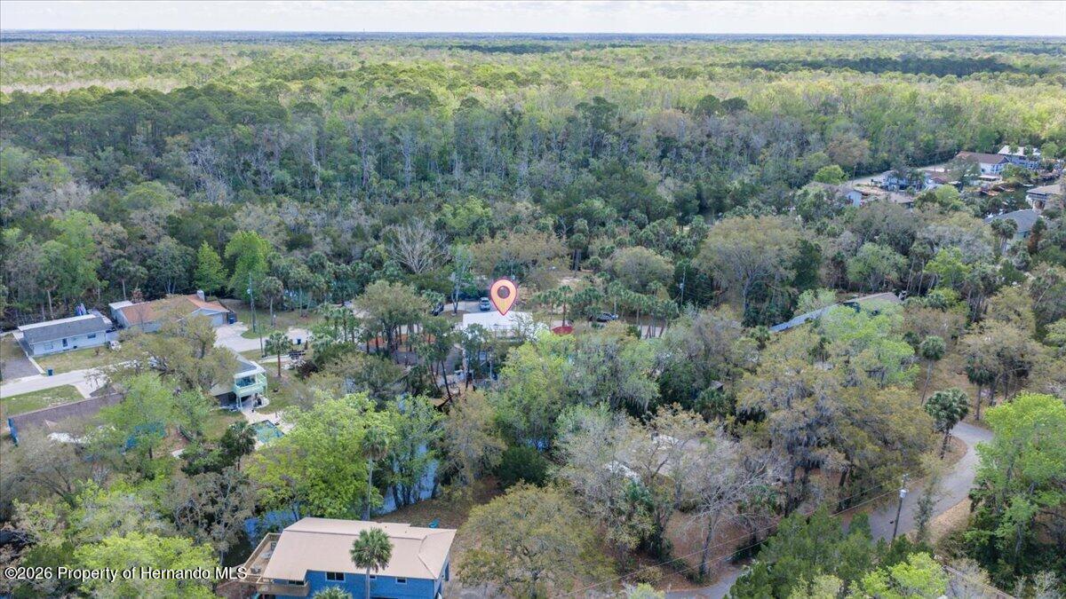 6093 Avenue Of The Palms