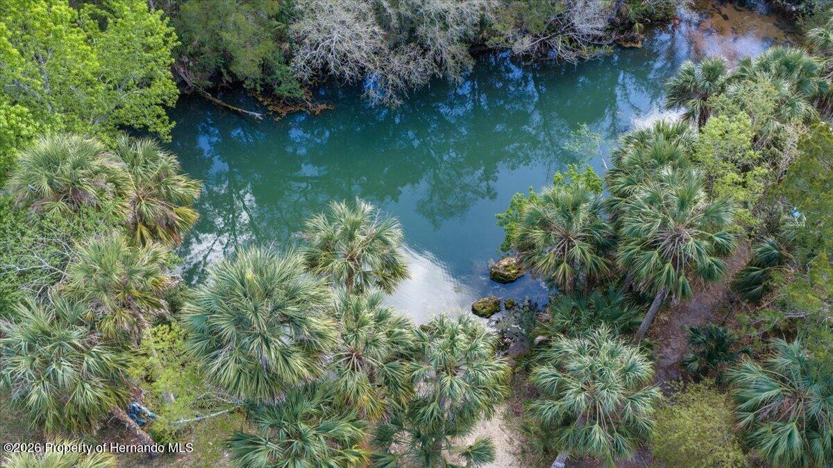 6093 Avenue Of The Palms