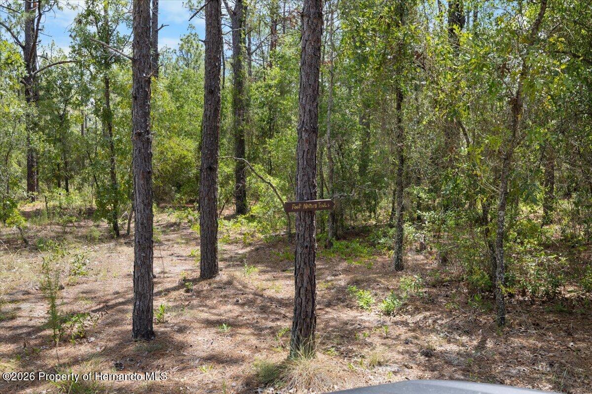 15624 Peace Boulevard, Spring Hill(Pasco)