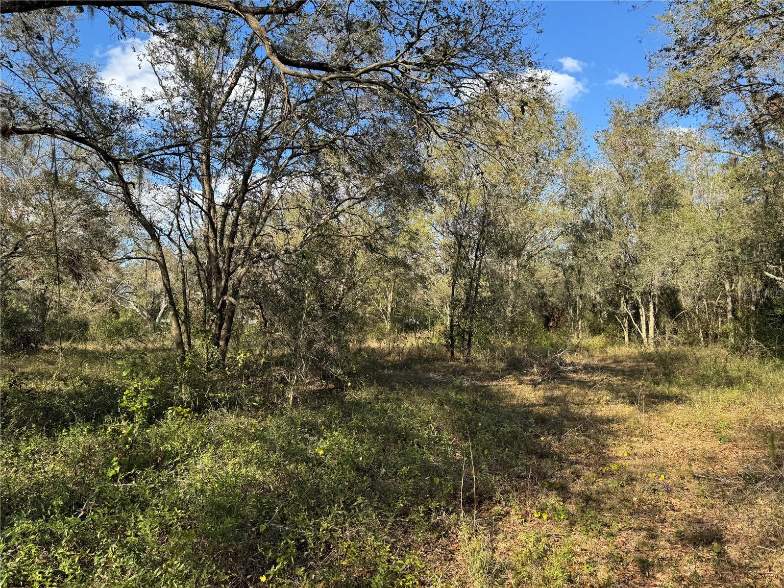 3705 JERRY SMITH RD