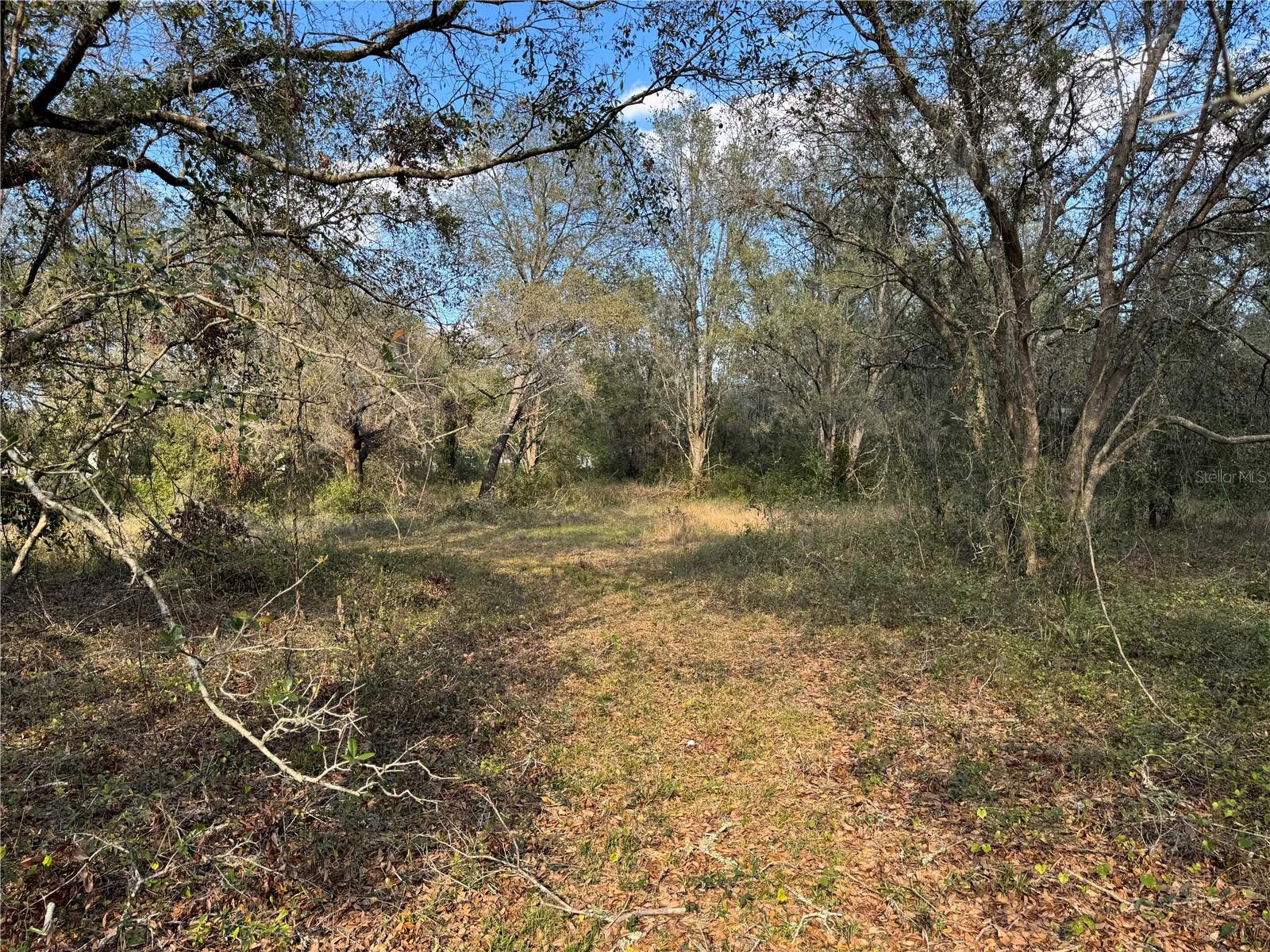 3705 JERRY SMITH RD