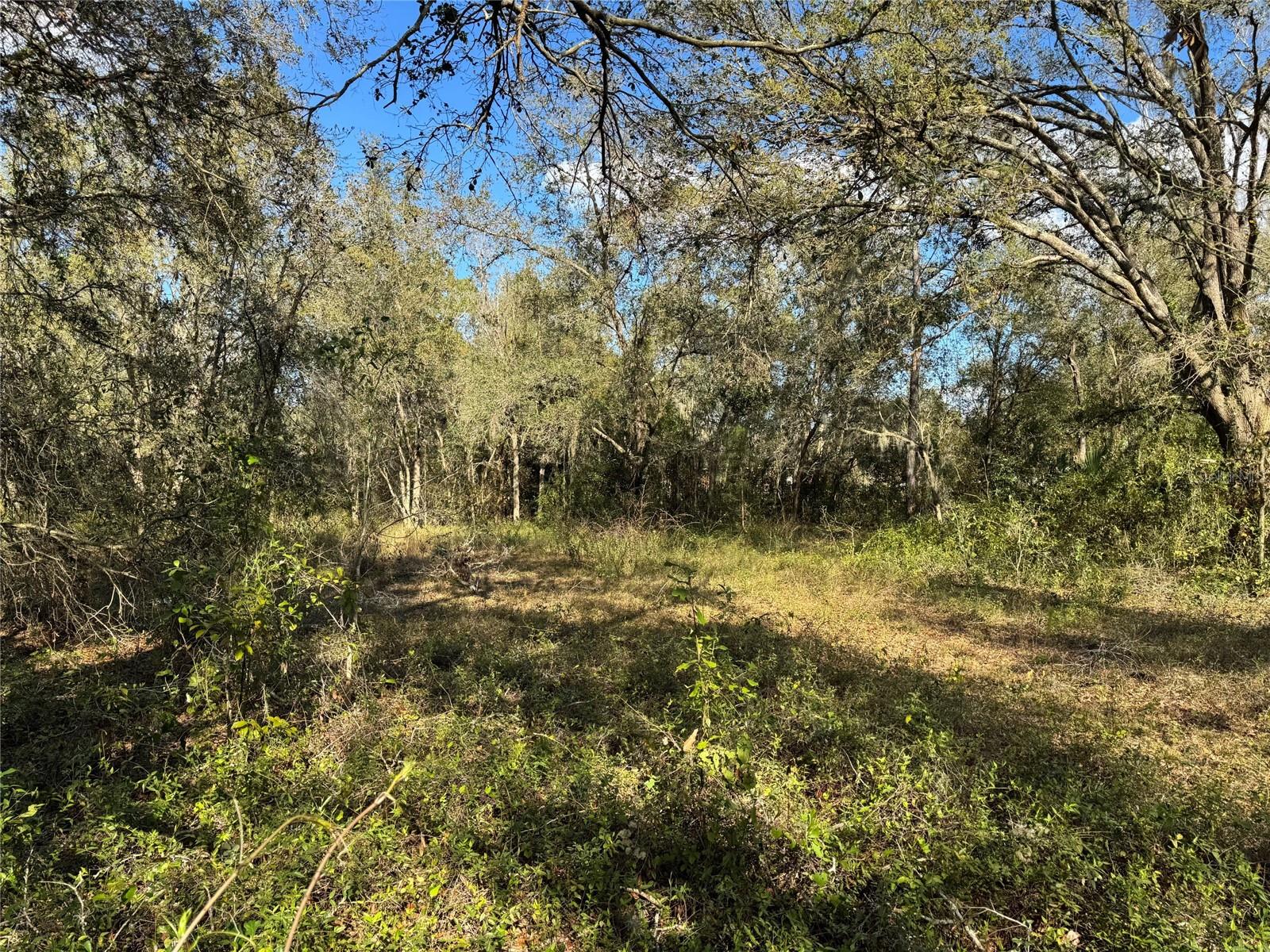 3705 JERRY SMITH RD