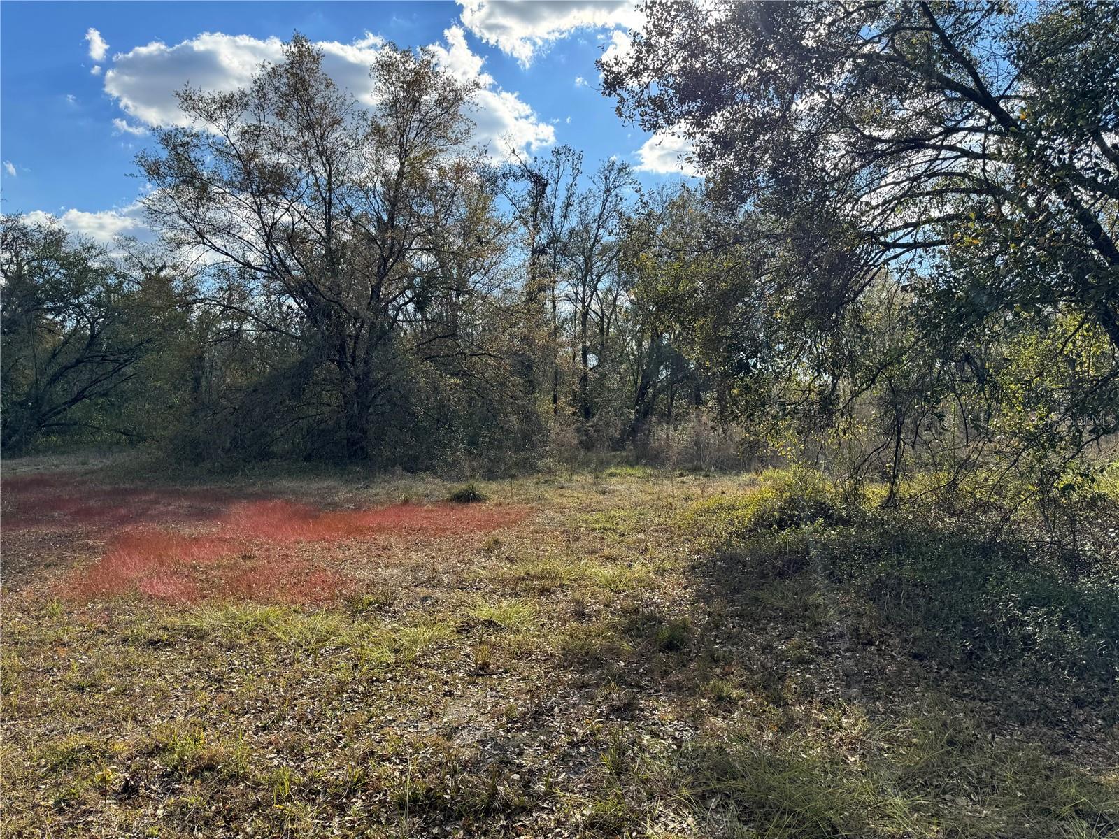 3705 JERRY SMITH RD
